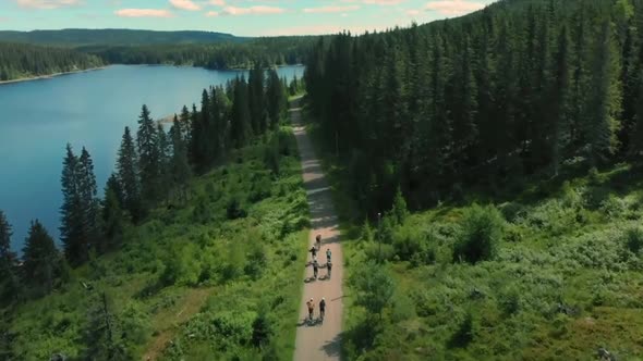 Aerial photography bike through the forest