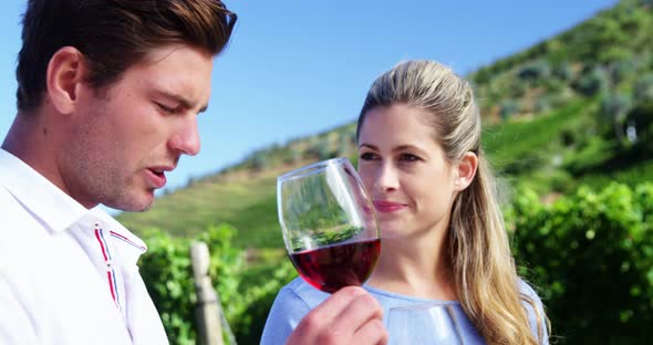 Couple interacting while examining wine in vineyard