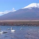 Beautiful nature in Kawaguchiko with Mountain Fuji in Japan - VideoHive Item for Sale