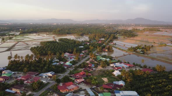 Aerial view Malays village near paddy field