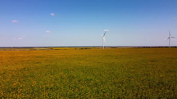 Aerial drone view of a flying over the wind turbine and agricultural fields