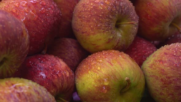 Due to the presence of phytochemicals in apples, they have gained special importance in the human bo