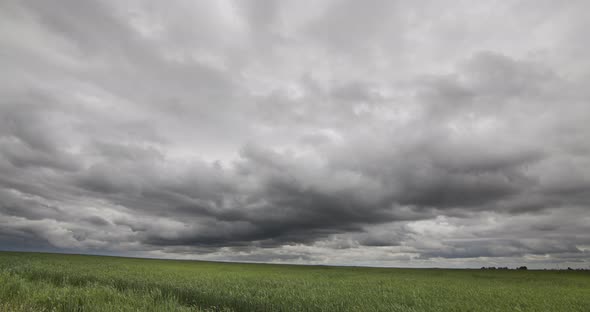 Storm Clouds In A Green Timelapse Field