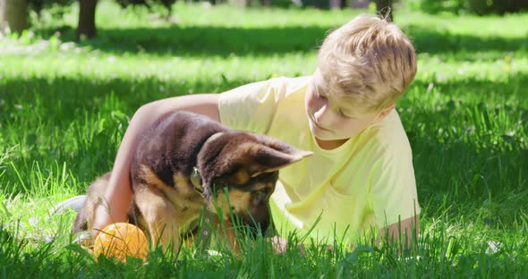 Smiling Boy and German Shepherd Puppy Playing at Park