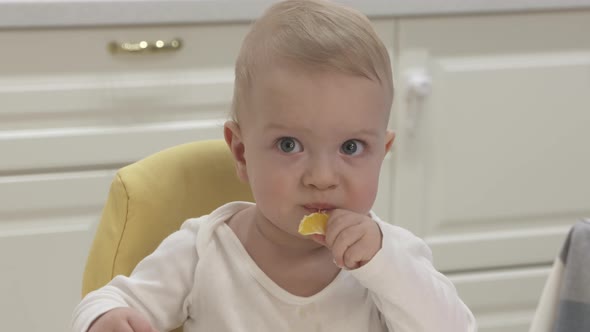 Baby Boy with Citrus Fruit Sitting on High Chair for Babies Oneyearold Baby Boy Eating Tangerine