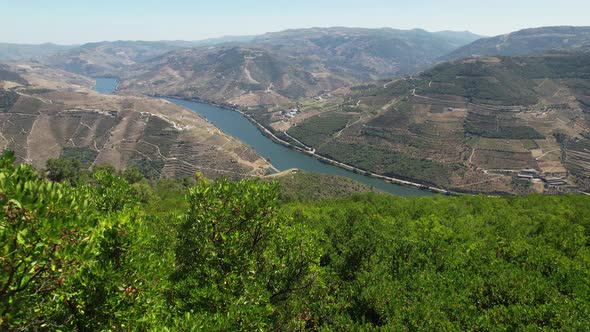 Aerial View of the Stunning Natural Landscape By Douro Valley