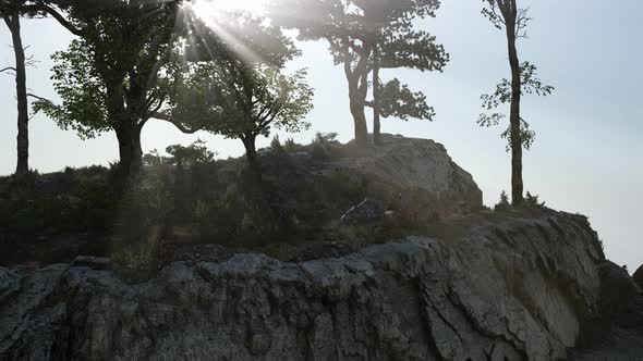 Trees on Rocks in Mountains at Sunset