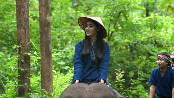 The Young Lady And Young Man Riding An Elephant In The Forest 