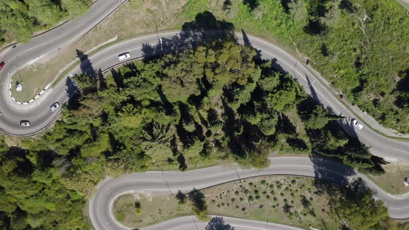 Aerial Top Shot SUV Automobile Driving on Serpentine Road at Dense Green Tree and Forest Nature