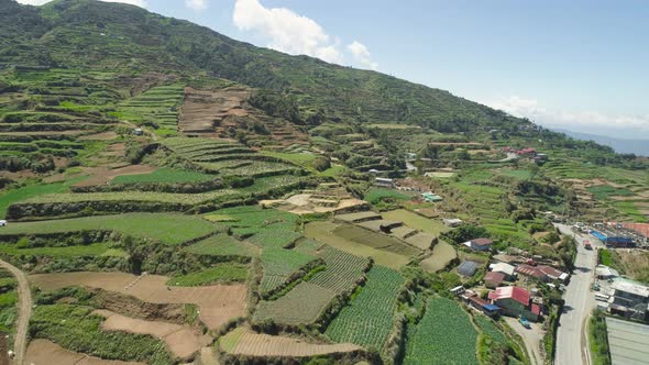 Farmland in a Mountain Province Philippines, Luzon