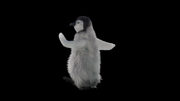 Penguin Dancing HD alt