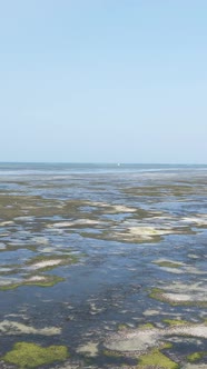 Vertical Video of Low Tide in the Ocean Near the Coast of Zanzibar Tanzania