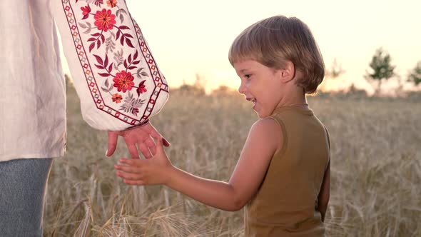 Mom and Child Holding Hands Together on Wheat Field Sunset Background