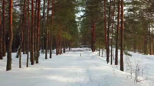 Winter Lake Streshno