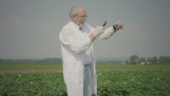 Scientist researching pests