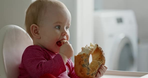 Cute Baby Eating Bun at Home, Side View of Adorable Toddler Kid Biting Piece of Bun with Poppy Seeds