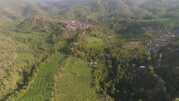 Rice Terraces and Agricultural Land in Indonesia