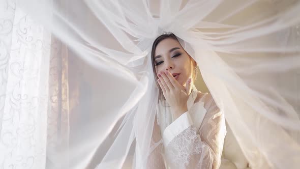 Beautiful and Lovely Bride in Night Gown Under the Veil. Wedding Day