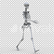 Skeleton Walk Cycle - VideoHive Item for Sale