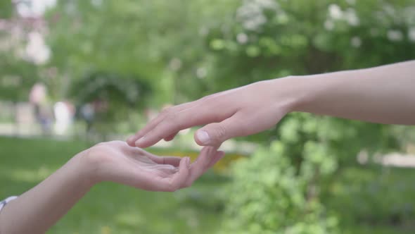 Male and Female Hands Touching Each Other in the Foreground Close-up. Beautiful Green Park on the