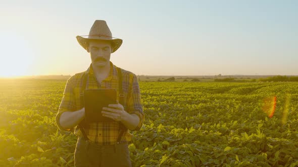 Farmer Using Tablet in Soybean Plant Field