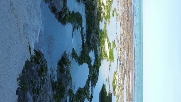 Vertical Video of Low Tide in the Ocean Near the Coast of Zanzibar Tanzania Aerial View