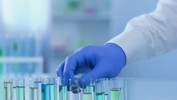 Lab Assistant Watching Test Tube With Rosy Liquid, Cosmetic Product Development