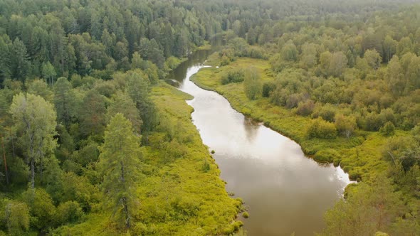 Flying over the river Beautiful river in the forest