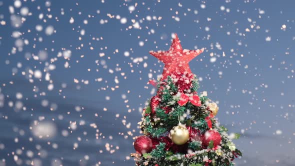 Snowing on Christmas Tree in Winter