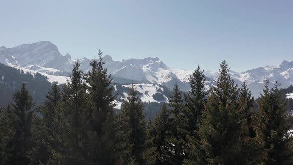 Aerial of tree tops overlooking a beautiful snow covered valley