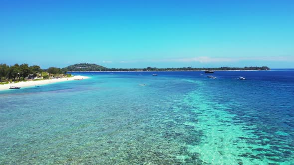 Aerial flying over seascape of luxury coast beach wildlife by aqua blue water with white sandy backg