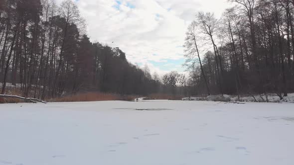Frozen Pond In The Forest alt