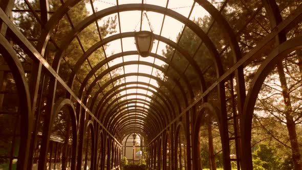 Ceiling of a Wooden Tunnel Archway