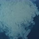 White Splash in Blue Water - VideoHive Item for Sale