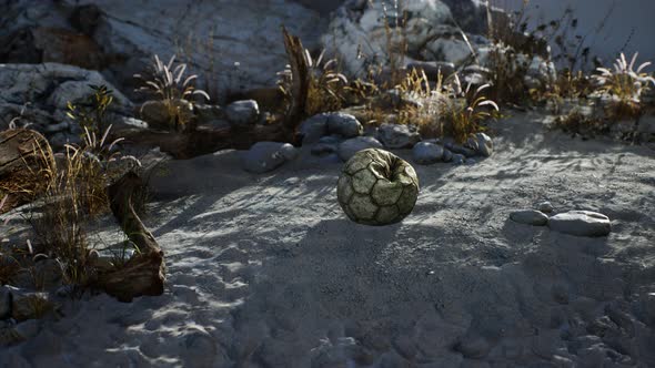 An Old Torn Soccer Ball Thrown Lies on Sand of Sea Beach