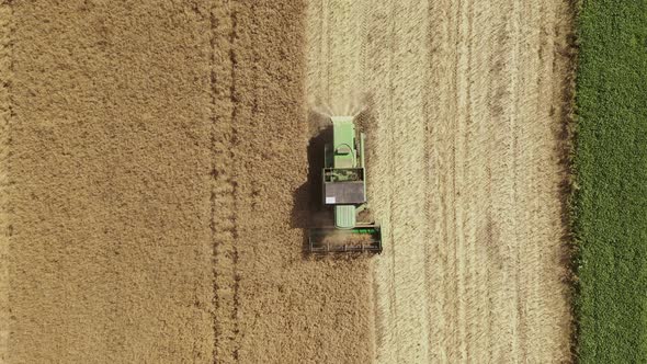 Combine harvester gathers the wheat crop. Farming concept. Top view