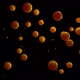 Floating Particles - Centered [Orange] - VideoHive Item for Sale