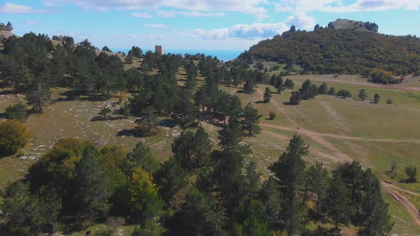 Flying Over Bright Autumn Trees and Bushes on the Hill on Sunny Day