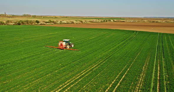 Aerial drone shot of farmer spraying green wheat field, Serbia