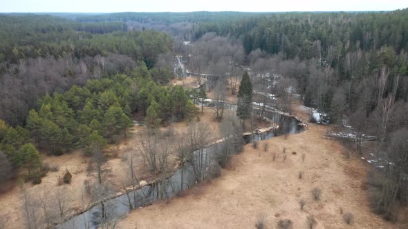 AERIAL: River Streams Towards Endless Forest on Cloudy Bright Day