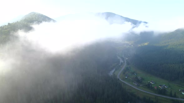 Aerial View Above the Clouds Mountains Range Covered with Pine Tree Forest