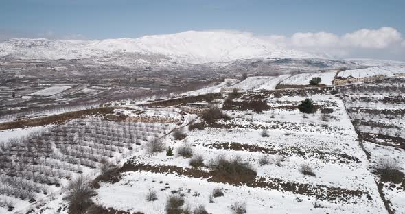 Aerial view of a dry vineyard in the snow, Golan Heights, Israel.