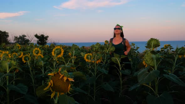 Adorable young girl in sunglasses in yellow sunflowers crops field on sunset sea shore