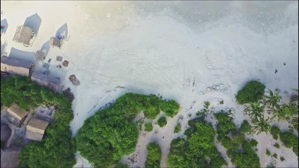 Aerial View From Green Trees on Beach To Foamy Ocean Surf