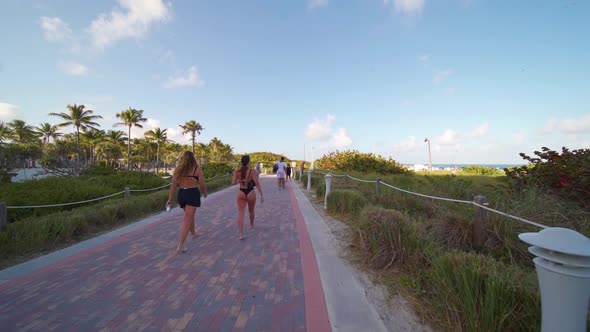 Walking To Miami Beach 3