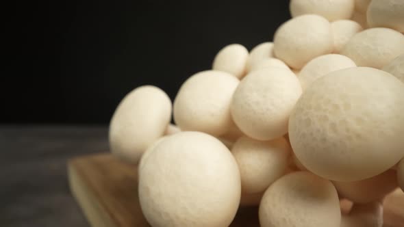 White Shimeji Mushrooms 12
