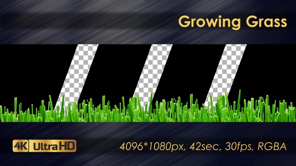 Growing Grass