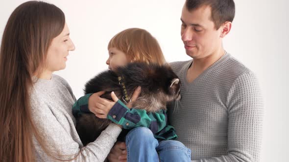 Family Plays with a Domestic Raccoon on a White Background Isolate