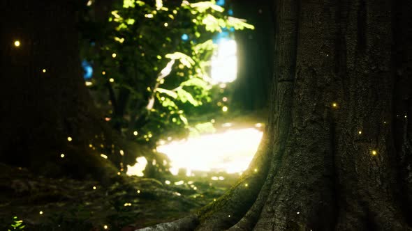 Fantasy Firefly Lights in the Magical Forest