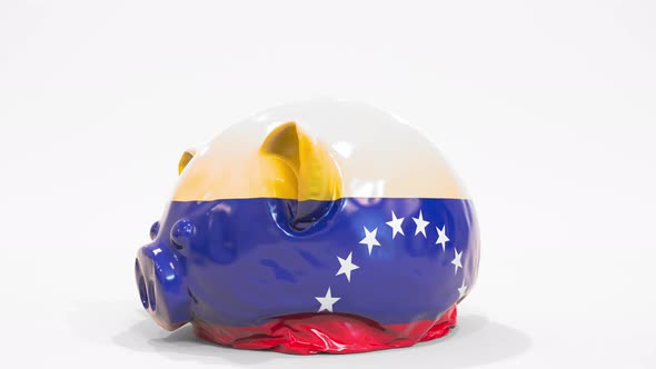 Deflating Inflatable Piggy Bank with Flag of Venezuela alt